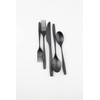 Cambridge Silversmiths Averie Black Satin 20-Piece Flatware Set, Service for