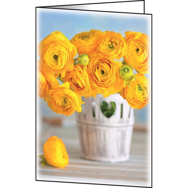SIGEL DS104 Blank Greeting Cards A6 Set of 10 with