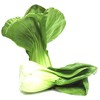 1100 Shanghai Pak Choi, Bok Choy Seeds - Delicious Chinese