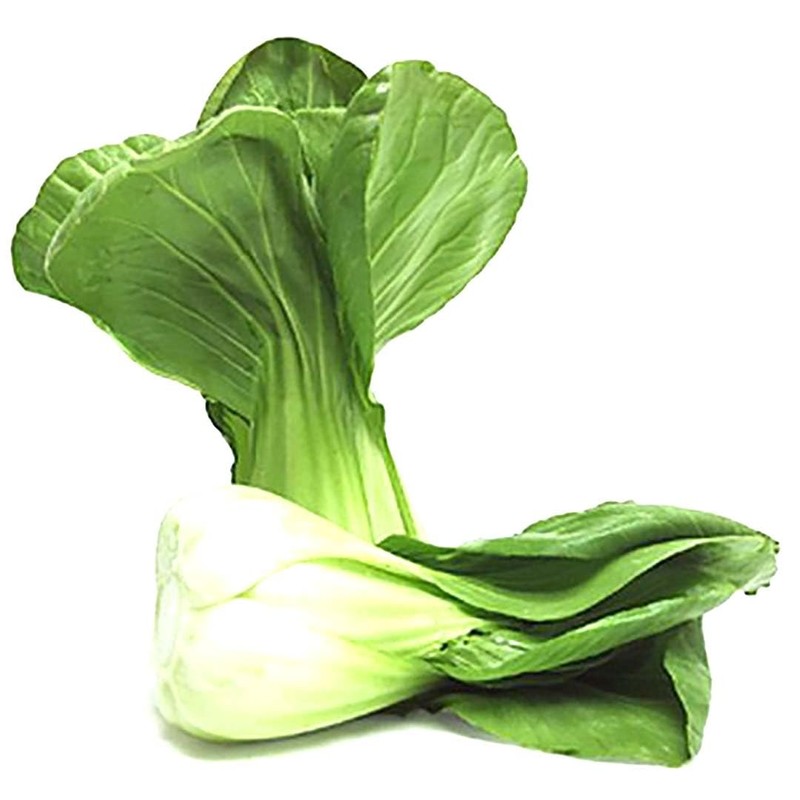 1100 Shanghai Pak Choi, Bok Choy Seeds - Delicious Chinese