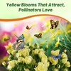 Outsidepride Yellow Carnation Seeds - 1000 Pcs Biennial, Easy to