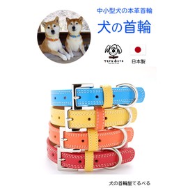 Dog Collar, Dog Collar, Dog Collar, Fashionable Cute Brand, Medium Dog, Small Dog, Ultra Small Dog, Dog, Leather, Leather, Leather, Shiba Inu, Chihuahua, Toy Poodle, Dog Collar, Glittering No. 3 (FBM)