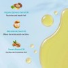 Nuevo Modelo De Aceite De Argán Marroquí De 100 Ml