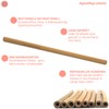 GERNEO® Reusable Bamboo Straw in Brown - Set of 10