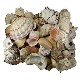 U.S. Shell Garden Shell Bag, 10 Pounds