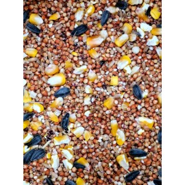 Wisconsin 5 Grain Parrot Hamster Mouse Wild Bird Rabbit Hamster Food Seed w / OMEGA 3 & 6  - 15 pound