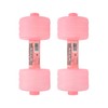 2Pcs Water Filled Dumbbells Weight Dumbbells Adjustable Body Shaping Gym