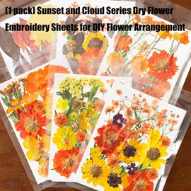 Juego de Hojas de Flores secas prensadas Naturales para Hacer Velas, Arte de Resina, marcadores, Manualidades, álbumes de Recortes, Kits de Flores y Hojas prensadas Naturales