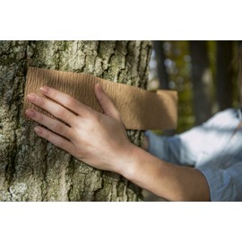 Tanglefoot Tangleguard Banding Material, 3 in. x 50 ft.