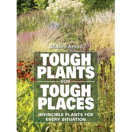 Tough Plants for Tough Places: Invincible Plants for Every Situation