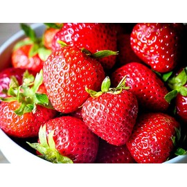 The Green Grove Garden STRAWBERRY 100 SEEDS HEIRLOOM NON-GMO ORGANI