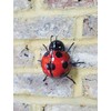 Fountasia 93601 Ladybird Wall Art, Marienkäfer, mittel