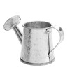 Juvale Mini Watering Can - 3 x 1.6 in, Silver,