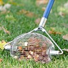 Medium Nut Wizard 14" for English Walnuts, Chestnuts, Golf Balls