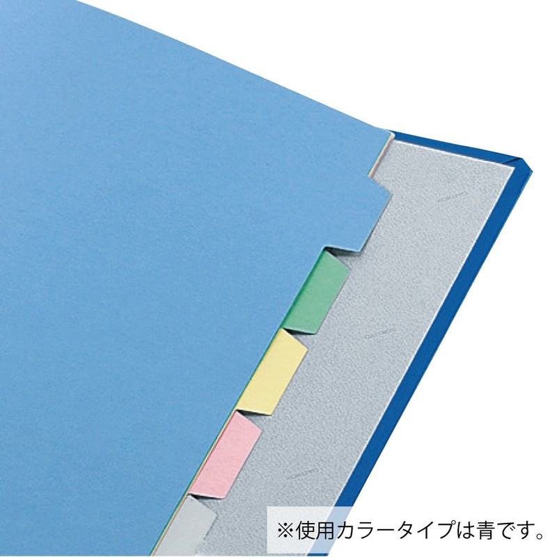 Kokuyo F-E620B Pipe Type File, A4, 2 Holes, Holds 200