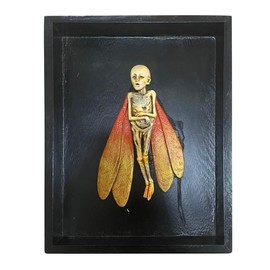 Haptufer Gothic Mummified Fairy Fairy Specimen Statue Picture Frames Display Painting Home Decor C