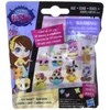 Littlest Pet Shop Mystery Bag (Series 3)