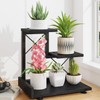 LASZOLA Plant Stand Indoor Tabletop Small for Desk, 3 Tier