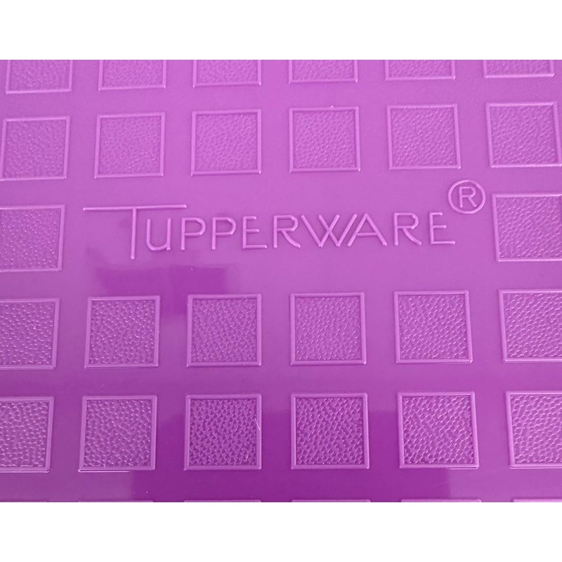 Tupperware Large Season Serve Marinating Container with Mini Sifter in