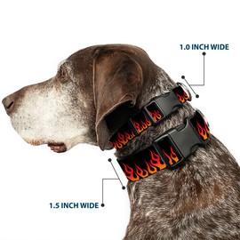 Buckle-Down PC-W30644-NM Flames Black/Orange/Red Plastic Clip Collar, Narrow Medium/8-12"