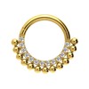 PIERCINGLINE Titanium Clicker Crystals + Balls Ring Nose Septum Ear