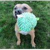 SmartPetLove Snuggle Puppy Tender-Tuffs Ball - Round Pufferfish Tough Dog