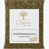 Organic Bio Herbs-Premium Dried Plantain Leaves – Natural Herbal Tea