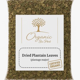 Organic Bio Herbs-Premium Dried Plantain Leaves – Natural Herbal Tea & Wellness Support, Whole Cut & Sun-Dried (Plantago major) 6 Oz.