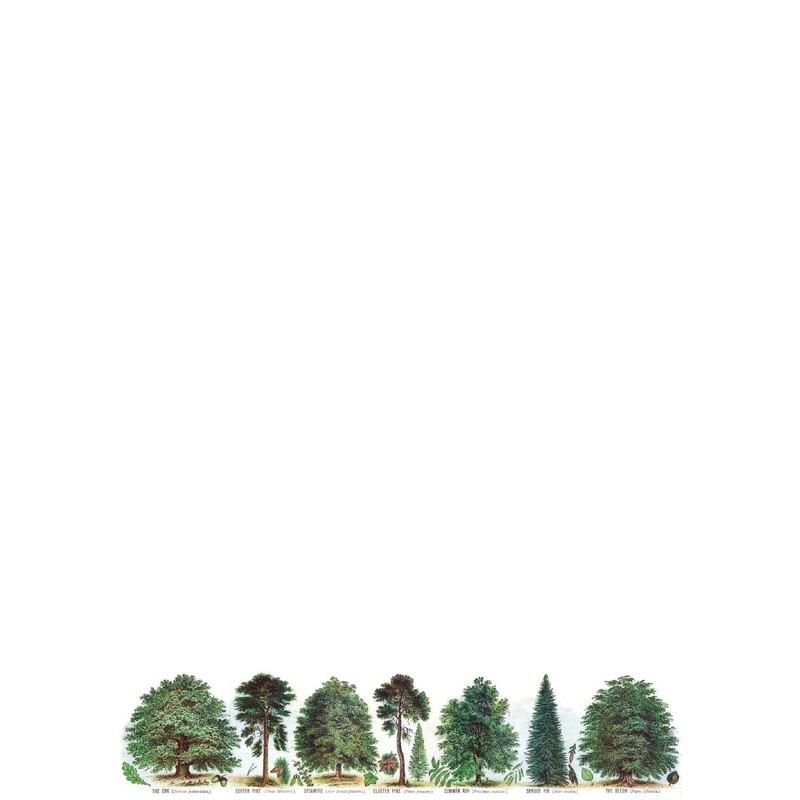 Museums & Galleries Writing Sets (Our British Forest Trees) PW061