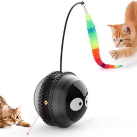AIPERRO Cat Toys for Indoor Cats, Innovative Interactive Cat Toy Ball with Bird Chirping, USB Rechargeable Automatic Exercise Rolling Cat Toy for Bored Indoor Adult Cats Kittens, Black