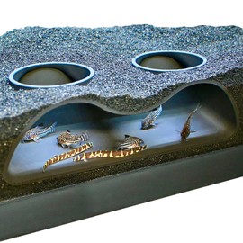 Lucky Critter Aquarium Underground Tunnel Cave Natural Curve Two Hole | Viewing Fish & Shrimp Under Gravel Tunnel | Fish Tank Decor Decoration Hideout Perfect for Corydora Catfish, Kuhli Loach, Pleco