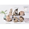 AMOYSTONE Heavy Duty Black Tourmaline Bookends for Bookshelves, Decorative Rock
