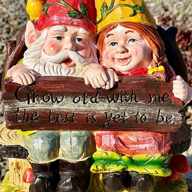 Darthome Gnome Couple Ornament 25cm Grow Old With Me Resin