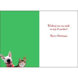 Leanin' Tree - Smile! It’s Christmas! by Howard Robinson Christmas Card Assortment - 20 Christmas Cards (2 each of 10 designs) & 22 Envelopes - #90314
