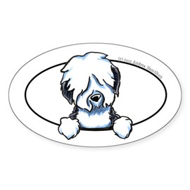 CafePress Old English Sheepdog Peeking Bumper Oval Car Bumper Sticker