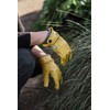 Barebones Kunar Glove - Premium Cowhide Leather All-Purpose Work and