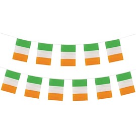 Ireland Bunting -11 Flags 31x20cm/4m