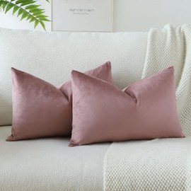 OTOSTAR Pack of 2 Velvet Soft Solid Decorative Throw Pillow Covers 16 x 24 Inch Pillow Covers Lumbar Cushion Case Couch Pillowcases for Sofa Bed Home Decor (Jam)