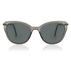 Montana Eyewear CP121 Plastic & Metal Cat Eye Sunglasses Grey