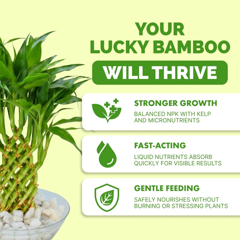 Lucky Bamboo Fertilizer – Liquid Plant Food for Greener Stalks,