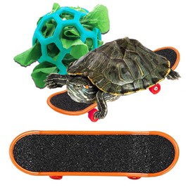 DHinkyoung Tortoise Training Skateboard & Treat Ball Toy Set, Turtle Feeder Ball and Pet Toy Mini Skateboard Scooter, Tortoise Hay Feeder Balls for Small Animals Pets Parrot Tortoises Turtles (Blue)