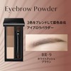 Visee Riche Eyebrow Powder BR-9 White Ash Brown 0.1 oz