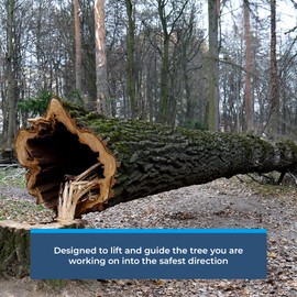 RNA High Impact ABS Felling Wedge - 4-Pack, 12 Inches, Yellow, Made in The USA, Professional Logging and Tree Trimming Tools