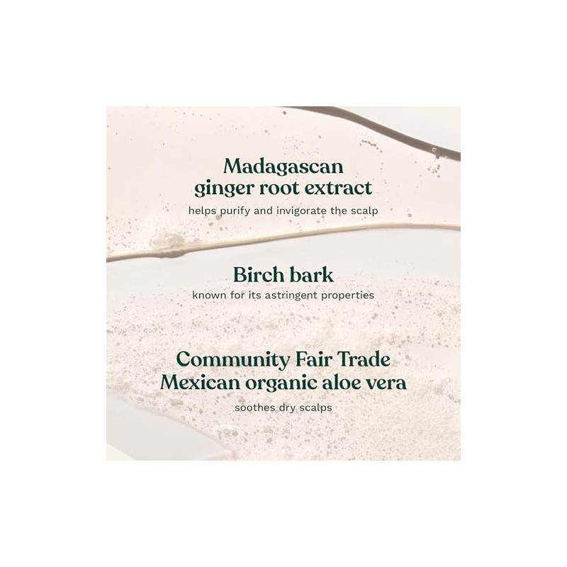 The Body Shop Ginger Anti Dandruff Shampoo, Green, Honey, 400