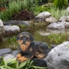4Pcs/Set Mini Cute Puppy Dog Statue Sculpture Ornaments Resin Craftwork