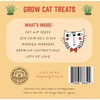 Cat Treats. Cat Nip Eco Grow Kit
