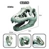 Charmoon Aquarium Object Dinosaur Fossil Bone Cave Shelter Ornament Figurine