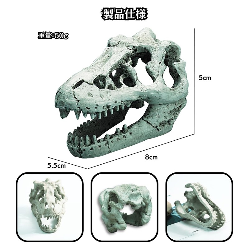 Charmoon Aquarium Object Dinosaur Fossil Bone Cave Shelter Ornament Figurine