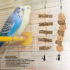 Bird Chewing Toys Hanging Natural Wood Parrot Swing Chewing Toys