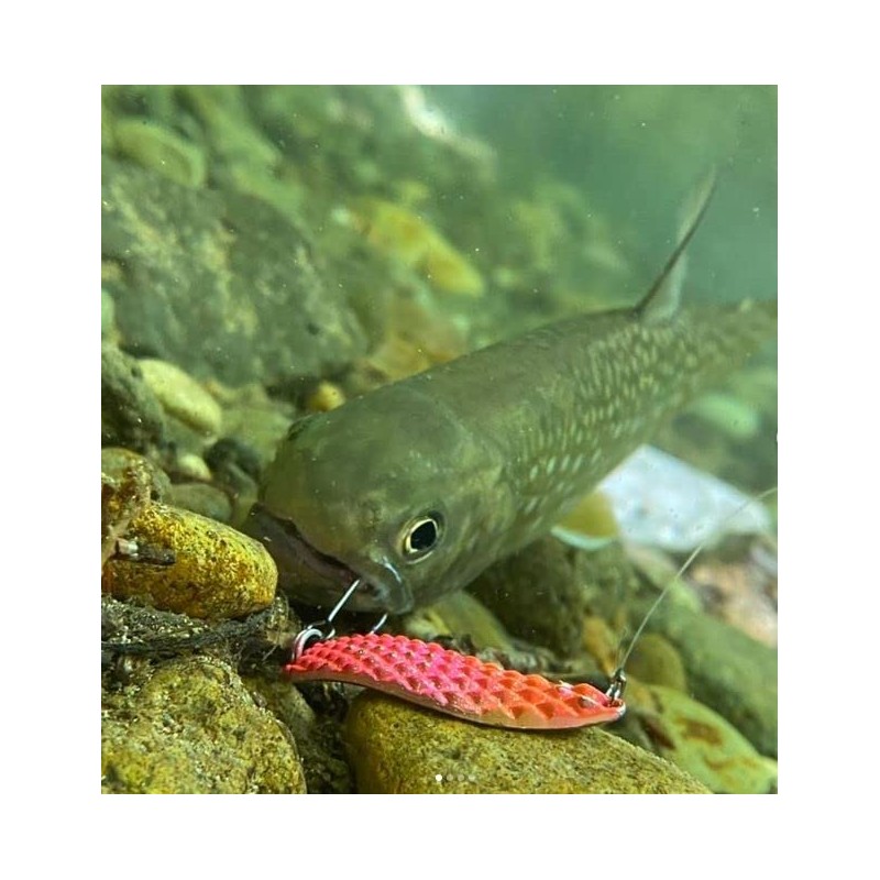 Endo Craft Credo Dc Lure Spoon, 1.1 oz (30 g),